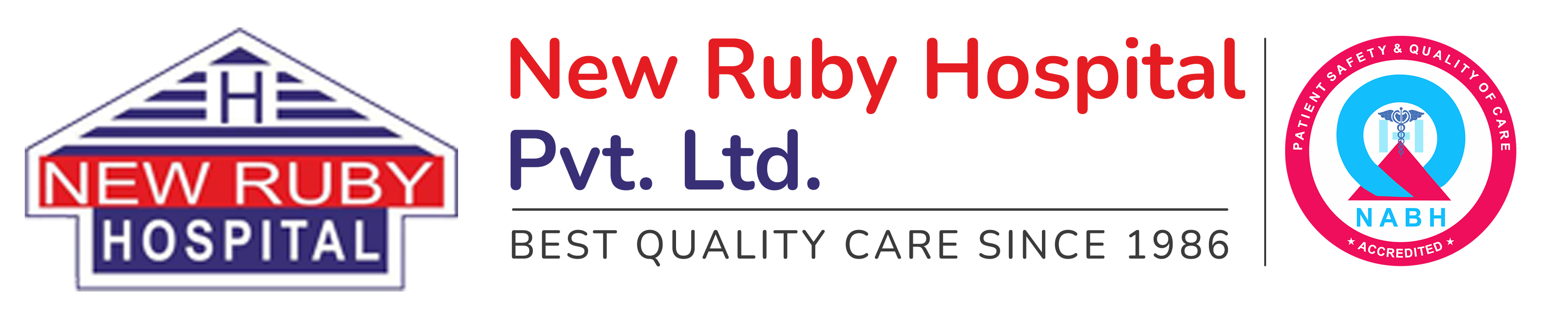 new-ruby-new-logo